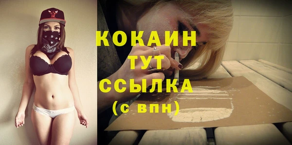 индика Бронницы