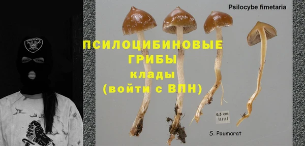 каннабис Бородино