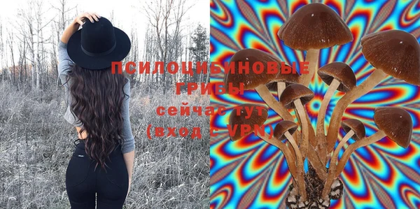 мдпв Семикаракорск